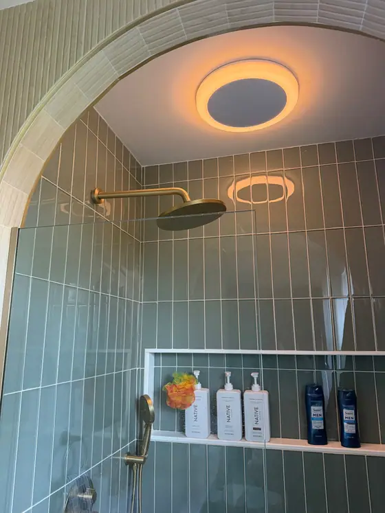 Sage green tile shower under an arched opening with a brass rain head and recessed niche