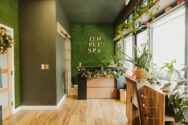 Zen Pet Spa reception with a moss wall sign, wood counter and hanging plants